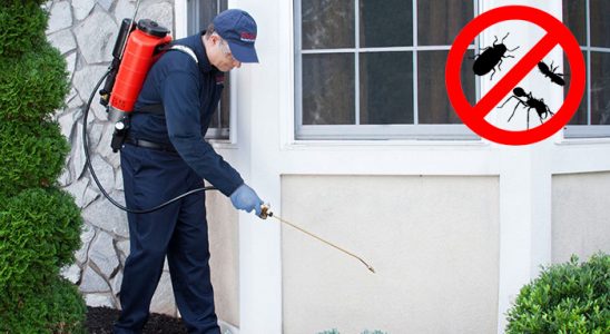 Giresun Dezenfeksiyon böcek ilaçlama ve haşere kontrolü — ilaclama-tr.com